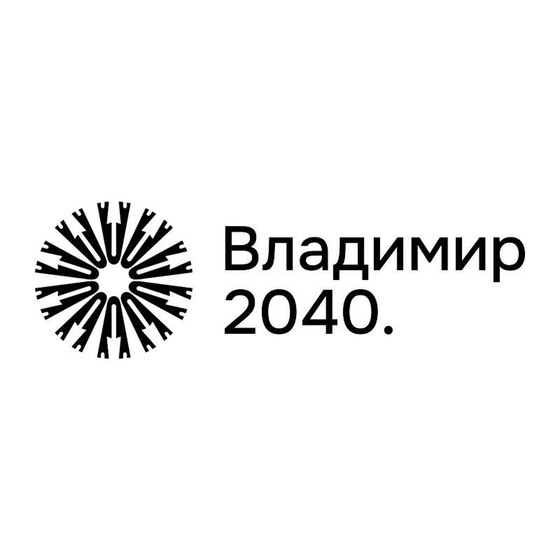 Владимир 2040