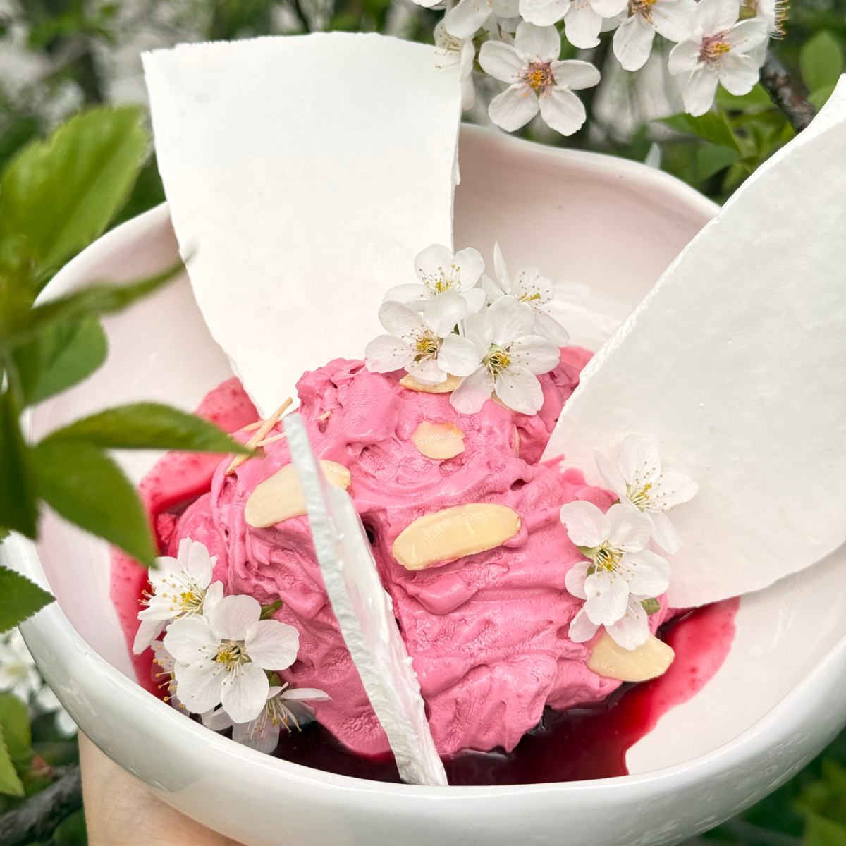 Владимирская вишня с безе и муссом из свеклы